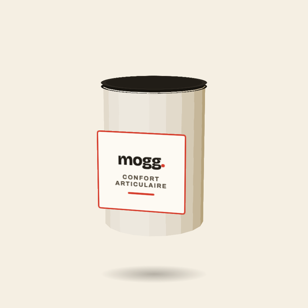 Pot confort articulaire mogg pour chien et chat
