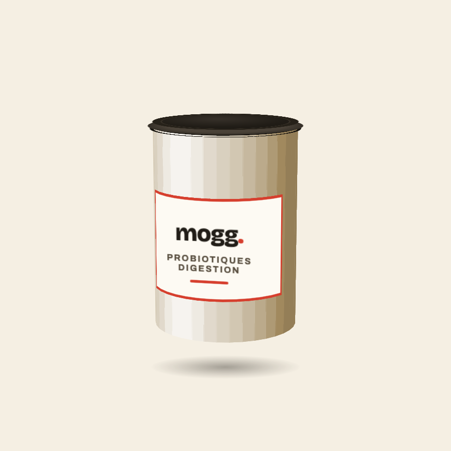 Pot MOGG Probiotiques Digestion